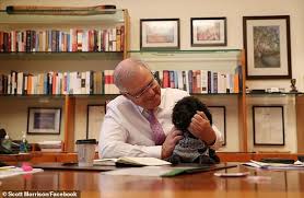 Australian prime minister scott morrison was interrupted by a homeowner during a news mr morrison was in the new south wales state town of googong to announce a new housing scheme. Freedomroo Fed Up Neighbours Complain About Scott Morrison S Schnoodle Buddy Barking At All Hours Australiannewsreview
