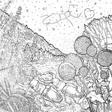 Select from 35970 printable coloring pages of cartoons, animals, nature, bible and many more. Legendary Worlds Adult Coloring Book Colorworth