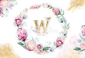 Hand Drawing Isolated Watercolor Floral Illustration With Protea Rose Leaves Branches And Flowers Bohemian Gol Floral Illustrations Floral Watercolor Floral