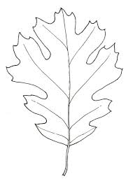 How To Draw An Oak Leaf On Stipple Paper Fall Leaves Coloring Pages Leaves Leaf Template Printable