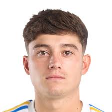 Daniel James's Ultimate Team History