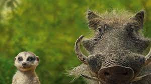 Maybe you would like to learn more about one of these? Download Animal Joke Sinhala Mp4 Mp3 3gp Naijagreenmovies Fzmovies Netnaija