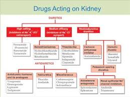 classification of drugs