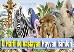 D Harfi Ile Baslayan Hayvan Isimleri Huzur Sayfasi Islami Bilgi Kaynaginiz