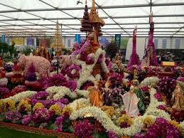 A Display Of Orchid Flowers From The Chelsea Flower Show Chelsea Flower Show Flower Display Orchid Show