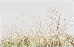 Graser Gras Oder Stroh Mit Buntstift Zeichen Wie Malt Man De Zeichnen Lernen Malen Lernen Online Malkurs Mit Acryl Und Olfarbe Malenwie Malt Man De Zeichnen Lernen Malen Lernen Online Malkurs Mit Acryl Und Olfarbe Malen