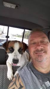 Lost four year old pet near Lafayette Blvd in Sheffield Lake