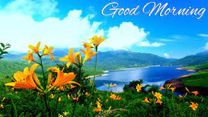 So friends i hope you like different types of good morning images we hope you like it. 126 Fresh Good Morning Nature Images Photos Free Download For Whatsapp Good Morning