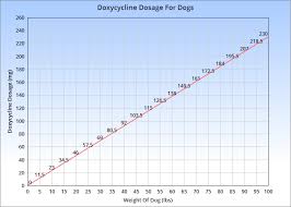 Doxycycline For Dogs Veterinary Place