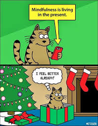 I Swear This Sounds Like My Old Cat Fuzzball Cute Jokes Cat Jokes Funny Cat Memes