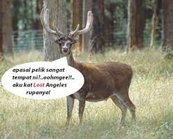 Apabila diartikan yaitu seorang yang tercengang keheranan. 5 8 2020 6 Joyous Literasi Bahasa Melayu