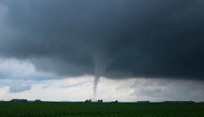 These are some notable tornadoes, tornado outbreaks, and tornado outbreak sequences that have occurred around the globe. Wetter Tornado In Wien News At