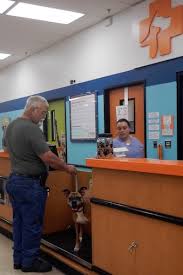 Banfield Pet Hospital Optimum Wellness Plan With Giveaway Here And There A New Jersey Blogger On Family Travel Photography Movie And Product Reviews