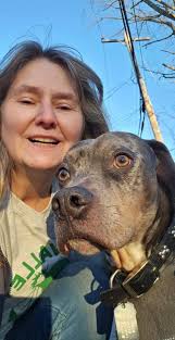 I am always happy to welcome new kitties to my Frazzle Kat Family 🥰 like  this handsome tabby boy Scotch 😻