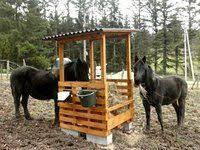 Astuce N 2 Fabriquer Des Rateliers Al Terre Eco Rehabilitation Integrale D Une Ferme En Pise Ratelier Foin Chevaux Mangeoire A Foin Mangeoire Pour Chevaux
