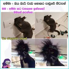 Check spelling or type a new query. Sundari à·ƒ à¶± à¶¯à¶» Facebook