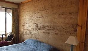 Jedna sa o kamenný dom. Nepalena Hlina V Modernych Domoch A Bytoch Inardex Sk