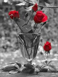 Black And White Photography With Red Color Splash Pin By Martine Fortune On Photo Shoots B W Color Splash Red Color Splash Photo Color Splash Photography