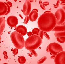 Additionally, it makes your blood vessels stronger and more flexible. How To Improve Circulation 12 Ways To Boost Poor Blood Flow