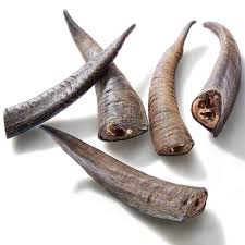 Free shipping on orders over $25 shipped by amazon. Natural Goat Horn