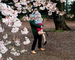 Embrace Spring With Pictures Of Japan S Cherry Blossoms Japan Cherry Blossom Festival Cherry Blossom Japan