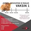 Lalu bagaimana dengan jadwal vaksin si kecil? 1
