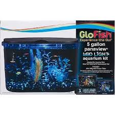 Brighten Up Any Room With This Glofish Aquarium Kit It Has Special Color Enhancing Led Lights That Will Bring Out The F Glofish Aquarium Kit Glofish Aquarium