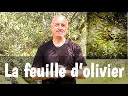 Epingle Sur Sante