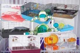 Aim for a minimum of 24 inches by 12 inches with the cage being at least 12 inches tall. What Size Cage Does A Hamster Need Hamsters 101