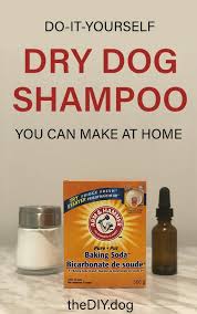 Got A Stinky Dog This Diy Dry Dog Shampoo Can Help Kol S Notes