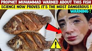 ALBIRK & AL QAMA BEACH