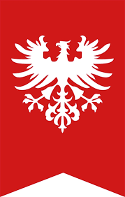 Chcąc wam objaśnić przebieg powstania wielkopolskiego muszę się cofnąć do roku 1918. Powstanie Wielkopolskie