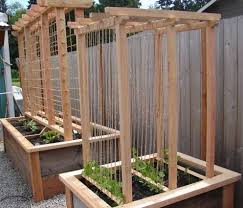 Digginfood Com Like This Raised Bed Building Raised Garden Beds Rasied Garden Beds Building A Raised Garden