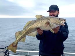 Weitere ideen zu dorsch, gefüllter fisch, kabeljau. Ostsee Angeln Auf Dorsch Master Guiding Rugen