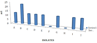 Image result for Lagenaria breviflora