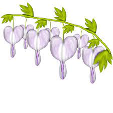 Gerdas Scraps Category Svet Klip Artu Easter Graphics Flower Clipart Flower Art