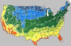 Yes, fast growing trees are the answer to getting greenery around your house, up to speed. Fast Growing Shade Tree Fast Growing Shade Trees Sale Find Fast Growing Shade Tree Sale