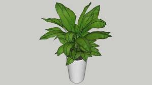 Pot Plant 3d Warehouse Plants Sketchup Model Potted Plants