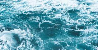 Jun 30, 2011 · 70% of students surveyed said occ was their first choice. World Oceans Day Solutions To Protect Our Oceans