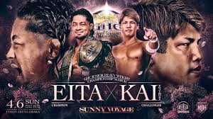 Bryce Hansen Profile