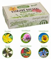 Box mit 24 tã¼ten blumen, krã¤uter und gemã¼se. Essbare Bluten Saatgut Box S Bio Saatgut Baldur Garten