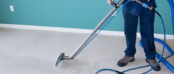 We are setting new standards to be a leading building cleaning & pest control companies in uae. Fair Dinkum Is The Best Carpet Cleaning Service And Pest Control Services In The Sunshin How To Clean Carpet Commercial Carpet Cleaning Carpet Cleaning Service
