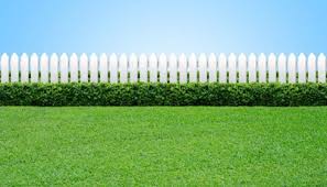 The Grass Is Greener Syndrome