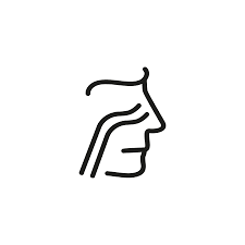 Here are important health screenings for women over 40. Nasal Passage Line Icon Nose Throat Sinus Health Care Concept Can Be Used For Topics Like Disease Prevention Medical Screening Respiratory System Tasmeemme Com