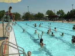 Whether you or your kids are just learning, or you want to improve your tri time, life time swim in new hope makes it easy to get started. New Hope Swimming Season Youtube
