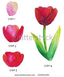 Today, by request, we will paint a simple tulip: Aquarelle Tulipe Facile Facon Tutoriel Comment Peindre Etape Par Etape La Tulipe Rouge Aquarelle Watercolor Tulips Watercolour Tutorials Tulip Painting