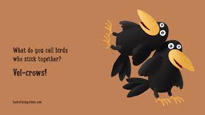 They don't always make sense, but they still earn an a+ for effort. What Do You Call Birds Who Stick Together Vel Crows Funny Bird Jokes Learn Funny Jokes