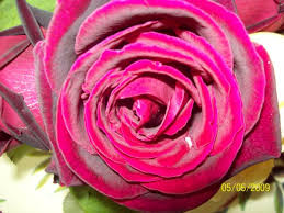 Sa vet bona me mbiemer "DACI"