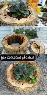 In south africa you can have a lot of fun creating your rock garden with our wide range of local succulents. 30 Captivating Backyard Succulent Gardens You Can Easily Diy Diy Crafts