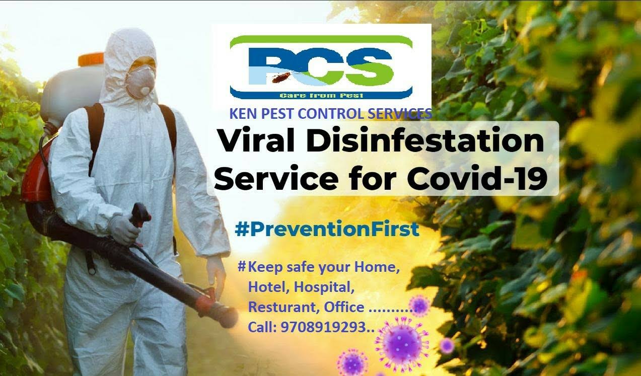 Sanitazation Service product image